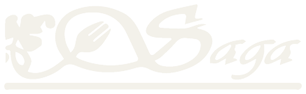 Saga — Hotel en Manzanares